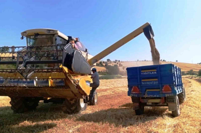 Türkiye'nin Yem Bitkisi Üretim Haritasında Zirvenin Sahibi Belli Oldu