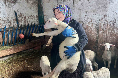 Hayvancılıkta kadın girişimci örneği
