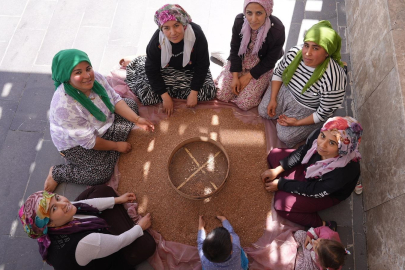 Kooperatifte büyüyen umut: Kadınlar yeniden başladı