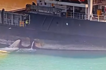 Mersin Limanı’nda Denizi Kirleten Gemiye 13,1 Milyon TL Ceza