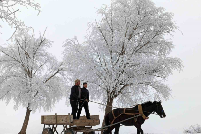 Türkiye’nin En Soğuk Noktası Bayburt Oldu