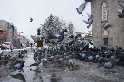 Meteoroloji Uyardı: Erzurum ve Çevresinde Don, Sis ve Çığ Riski