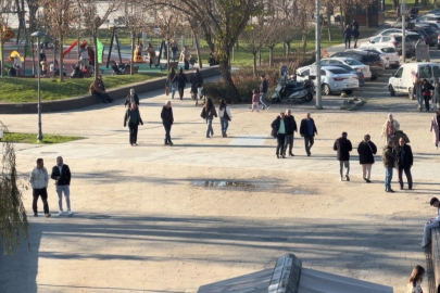 Uzmandan Domuz Gribi Uyarısı: Ateş 5 Gün Sürebilir