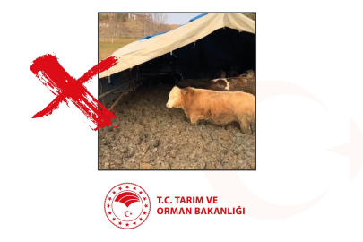 Bakanlıktan, işletmede hayvanlara kötü muameleye ceza