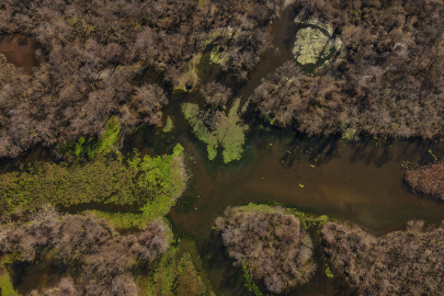 Kuraklığa Teslim Olan Karacabey Longozu Yeniden Hayata Döndü
