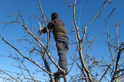 Tarım Müdürlüğünden Çiftçilere Önemli Uyarı