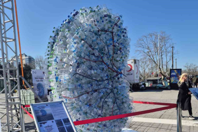 Diyalizin Korkunç Bedeli: Bir Seansta 200 Litre Su Çöpe Gidiyor