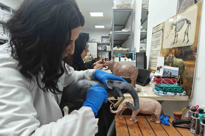 Kayseri'de 7,7 Milyon Yıllık Tarih 3D Yazıcılarla Diriliyor