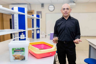 Kedileri Zehirleyen Kuma Karşı Ceviz Kabuğu Çözümü