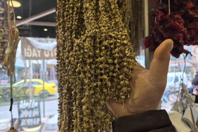 Şifa Deposu 'Altın Bamya'nın Kilosu 3 Bin 500 Liraya Ulaştı
