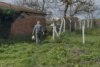 Sakarya'da Yol Çilesi: 62 Yaşındaki Adam 10 Yıldır Tarlaları Aşarak Evine Gidiyor