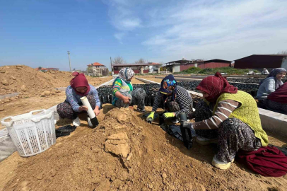 Ege'nin Yeni Fidan Merkezi: İki Kardeşten 700 Bin Hedefi ve İstihdam Rekoru