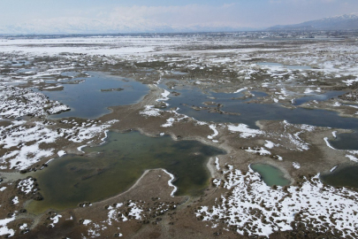 Ekşisu Kuş Cenneti’nde doğanın nefes kesen anları