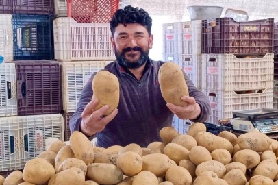 Manisa'da 850 Gramlık Patatesler Aile Bütçesine Nefes Aldırdı