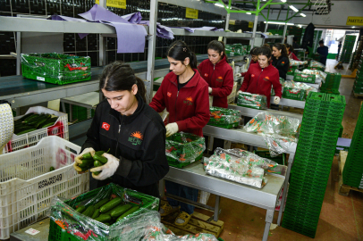 Savaş İran'ı Vurdu: Rusya Sebze İçin On Yıl Sonra Antalya'ya Döndü
