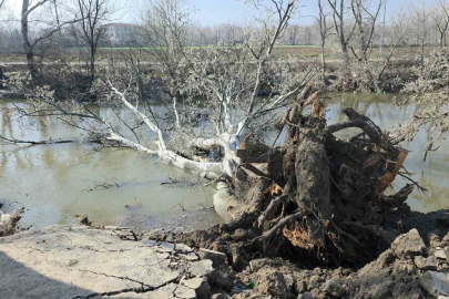 Tunca Kıyısında Taşkın Faturası: 50 Metrelik Alan Çöktü