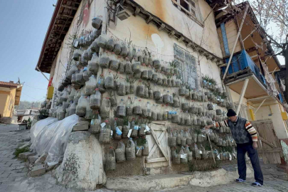 Beton Duvara Can Veren Azim: Tokat'ta Bidon Bahçeciliği