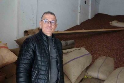 Giresun Serbest Piyasa Fındık Fiyatları Neden Düştü?