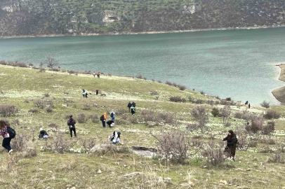 Şanlıurfa'da Yağmura Rağmen 10 Kilometrelik Nergis Yürüyüşü