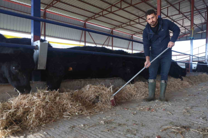 Hatay'da 7 Yıllık Mühendisten Devlet Destekli Angus Çiftliği