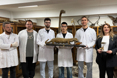 Asırlık Doğa Arşivi: 1919'dan Kalan Hayvanlar Üniversite Sıralarında!