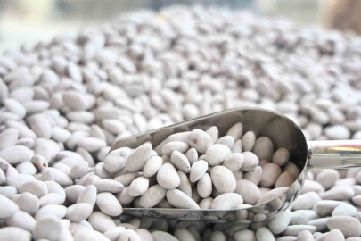 Elazığ'ın 'Beyaz Altını' Rekor Kırdı: Bir Ayda 10 Ton Badem Şekeri