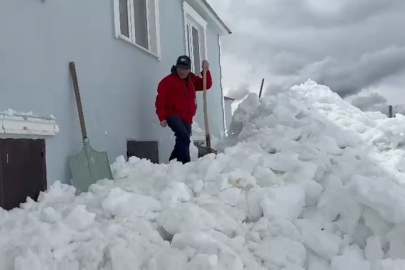 Gümüşhane’de akıl almaz olay: Ayıların Yöntemi Değişti