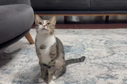 Mustafa'nın 4 Yıllık Esareti Bitti: Mideden Vantuz Çıktı!