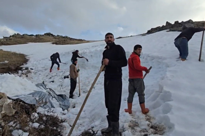 Ağrı Dağı Eteklerinde Geleneksel Çözüm: Kardan Doğal Su Deposu!