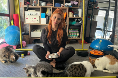 Ankara'da Şefkat Seferberliği: Felçli Dört Kediye Umut Işığı!