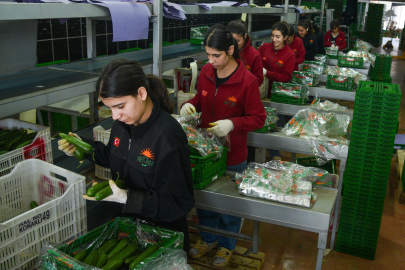 Antalya'dan Dünyaya: Günde 3 Bin Tonluk İhracat Üssü!