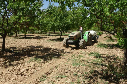 Malatya'da Kayısı Üreticilerine Kritik Manolya Hastalığı Uyarısı