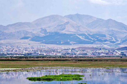 1921 Tarihli Belge: Erzurum'un Stratejik Petrol ve Enerji Rolü