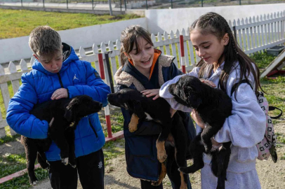İzmir'den 'Satın Alma Sahiplen' Çağrısı: 2 Bin 300 Can Bekliyor