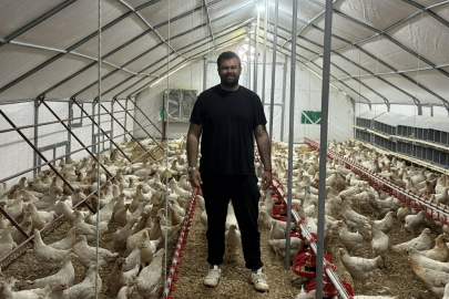 Yurt Dışında Okudu, Arabasını Satıp Tavuk Çiftliği Kurdu
