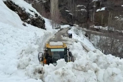 Bahçesaray'da Çatbayır Yoluna Çığ Düştü, Facia Kıl Payı Atlatıldı