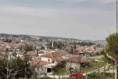 Denizli'de 100 Milyon Yıllık Deniz Yıldızı Fosili Bulundu