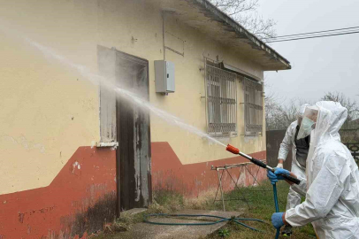 Samsun'da 300 Ürünün Düşmanı Kahverengi Kokarcaya Karşı Seferberlik