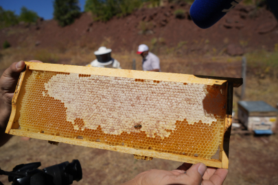 Erzincan Geven Balı Coğrafi İşaretle Tescillendi