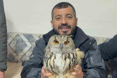 Kars'ta Yaralı Bulunan Puhu Kuşu Koruma Altına Alındı