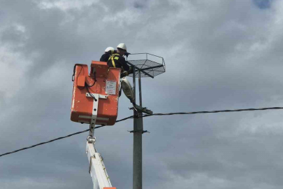 TREDAŞ'tan Leyleklere Güvenli Yuva: Binden Fazla Platform Kuruldu