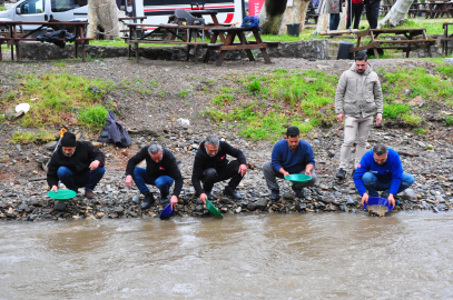 İzmir'de Altın Avı: Kırıntı Madenciler Derede Buluştu