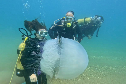 Şiddetli Poyraz 10 Kiloluk Denizanalarını Antalya'ya Taşıdı