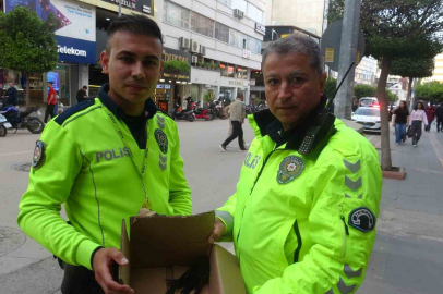 Hatay'da Bitkin Düşen 2 Ebabil Kuşunu Polis Kurtardı