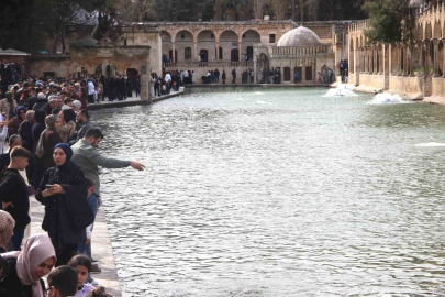 Şanlıurfa'da Selin Vurduğu Balıklıgöl Eski Haline Döndü