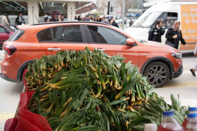 Doğal antibiyotik Erzincan tezgahlarında yerini aldı