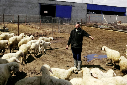 80 Bin TL Maaşla Çoban Bulamayan Besiciden Gençlere Çağrı