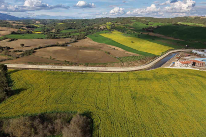 Adana'da Devlet Destekli Kanola Üreticinin Yüzünü Güldürdü