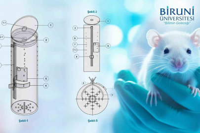 Biruni'den Deney Hayvanları İçin Yerli Ölçüm Cihazına Tescil