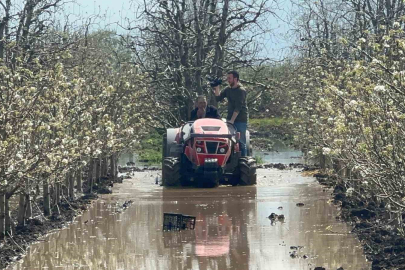 Bursa'da Sağanak Yağış Şeftali ve Armut Bahçelerini Vurdu